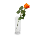 Kytice oranžových růží